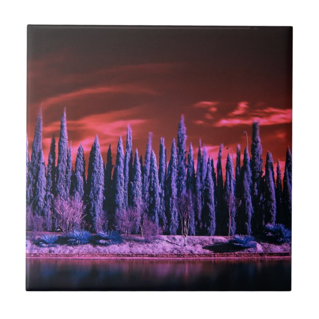 Carreau ciel d'hiver violet (Devant)