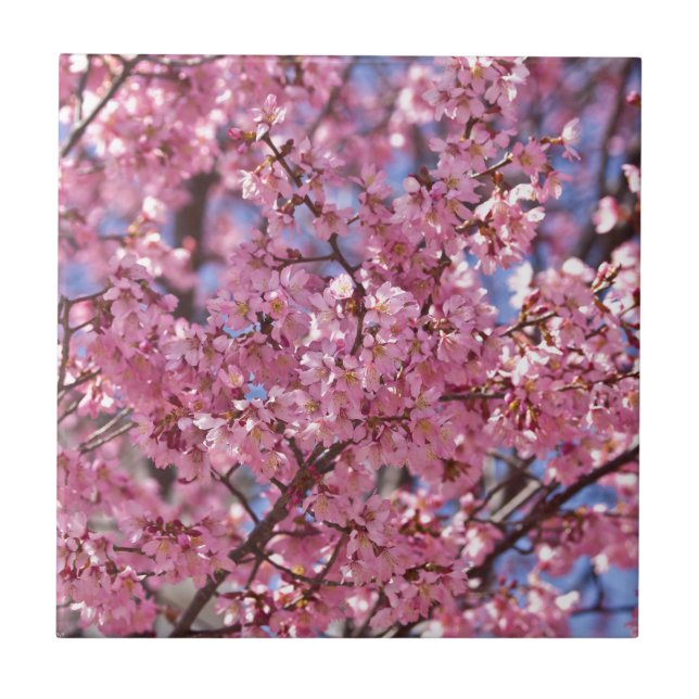 Carreau Ciel Rose de Cerisier Sakura (Devant)