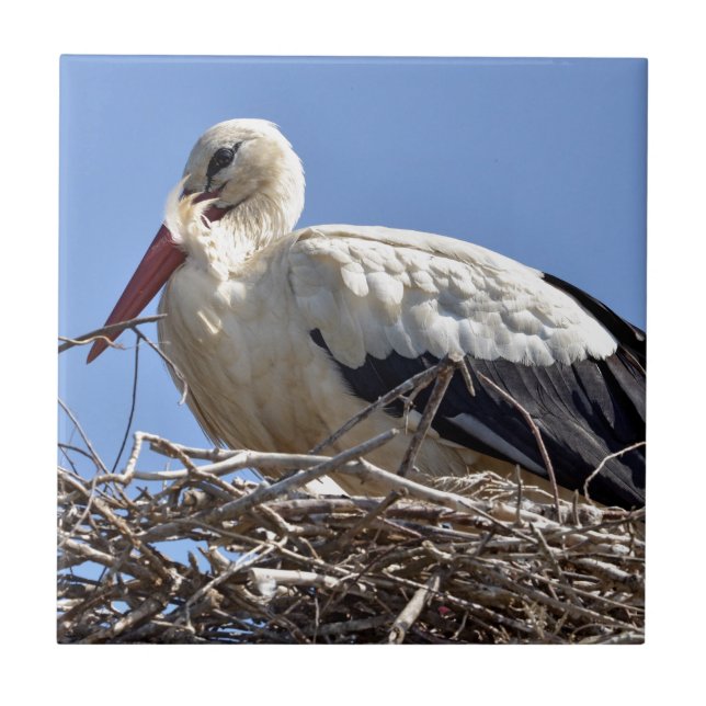 Carreau cigogne blanche dans son nid (Devant)