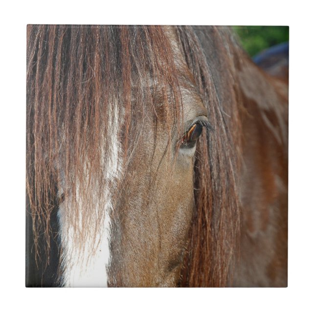 Carreau cisailler (Devant)