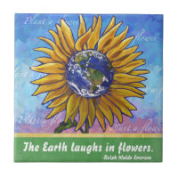 Citation de la Terre de tournesol