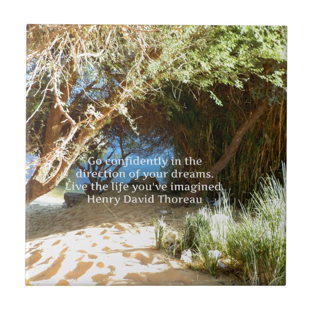 Carreau Citation du rêve motivationnel Henry David Thoreau (Devant)