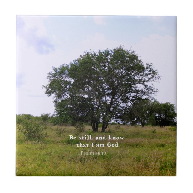 Carreau Citation inspirée de bible de 46:10 de psaume (Devant)