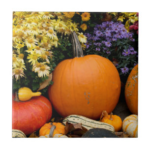 Carreau citrouille décoratif d'automne coloré