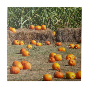 Carreau Citrouilles, maïs et foin Photographie de la récol