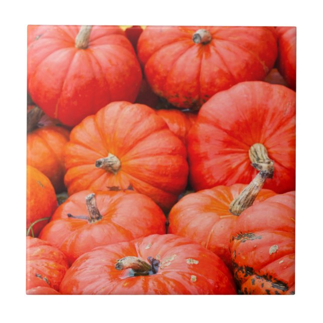 Carreau Citrouilles orange au marché, Allemagne (Devant)