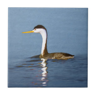 Carreau Clark's Grebe Painting - Art original pour les ois