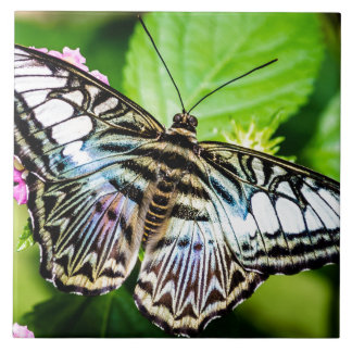 Carreau Clipper bleu