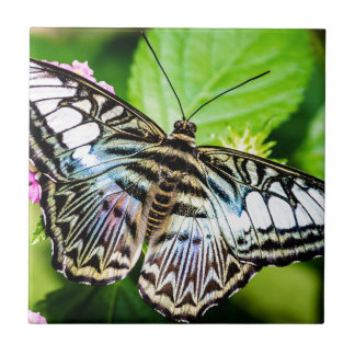 Carreau Clipper bleu