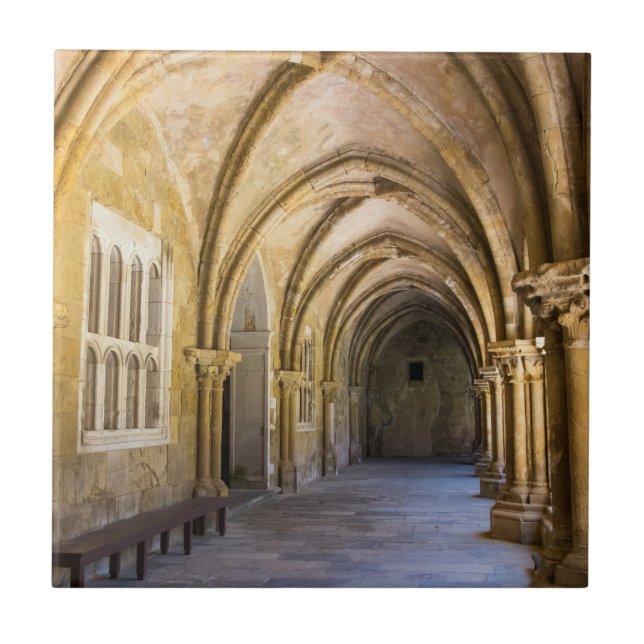 Carreau Cloître de la cathédrale en arc (Devant)