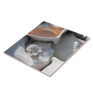 Carreau Closeuse Coques de conque