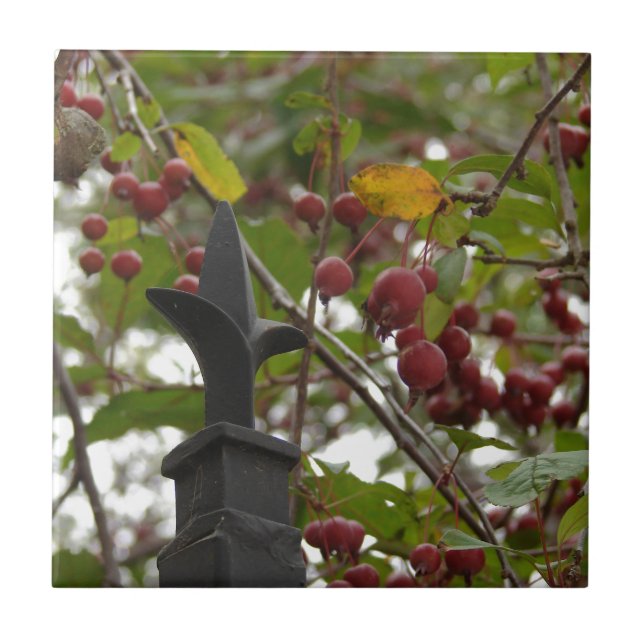 Carreau Clôtures et crabes (Devant)