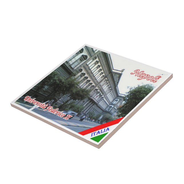 Carreau CMP048 NAPLES, Université Federico II, (Côté)