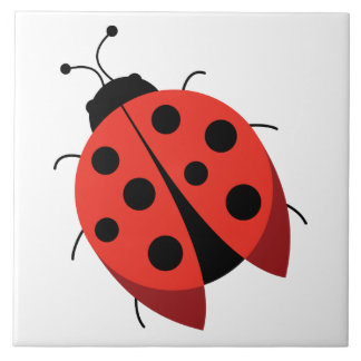 Carreau Coccinelle