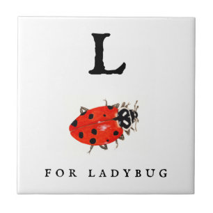 Carreau Coccinelle