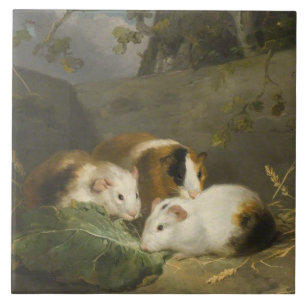 Carreau Cochons d'Inde (par George Morland)