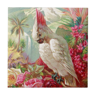 Carreau Cockatoo et art Vintage Rose