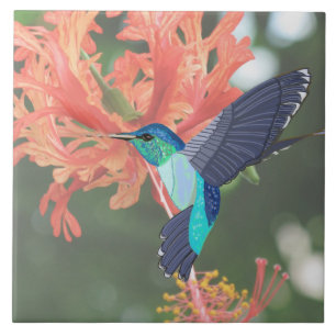 Carreau Colibri bleu et vert et Hibiscus orange