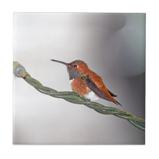 Carreau Colibri collant la langue