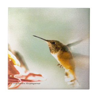 Carreau Colibri de Rufus