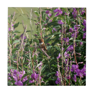 Carreau Colibri en pourpre
