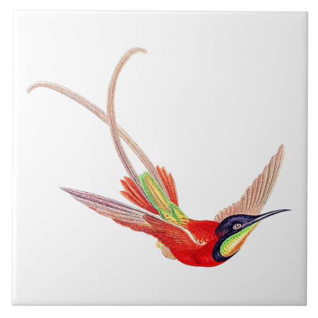 Carreau Colibri en vol (Devant)