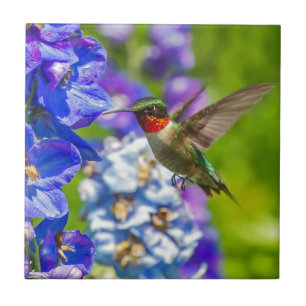 Carreau Colibri Et Delphinium