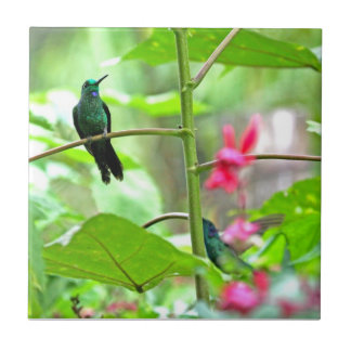Carreau Colibri et fleurs tropicaux