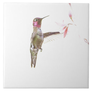 Carreau Colibri et simple Fleur