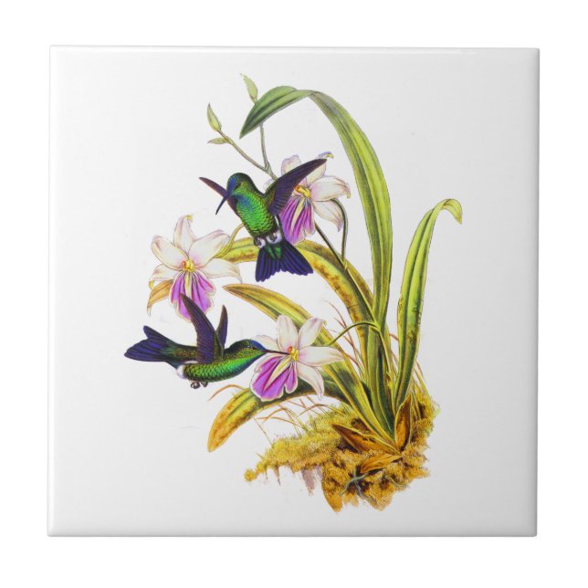 Carreau Colibris et orchidées pourpres (Devant)