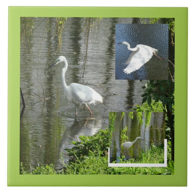 Carreau Collage d'aigrette couleur de bordure personnalisé (Devant)