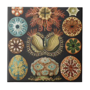 Carreau Collage d'art de la vie marine nautique d'Ernst Ha