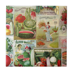 Carreau Collage de catalogue de fruit et de graine de