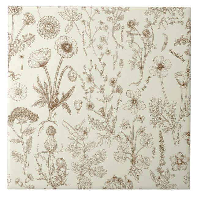 Carreau Collage de fleurs sauvages / beige et sépia (Devant)