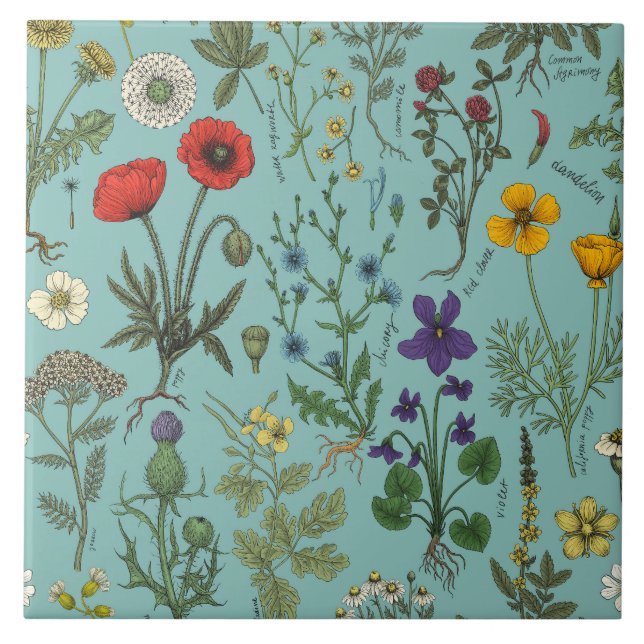 Carreau Collage de fleurs sauvages sur fond bleu (Devant)
