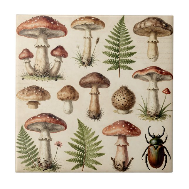 Carreau Collage de fougère de champignon botanique vintage (Devant)