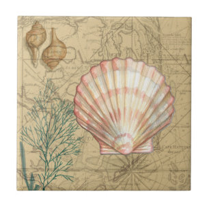 Carreau Collage de la carte côtière