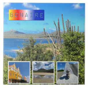 Carreau Collage photo Bonaire