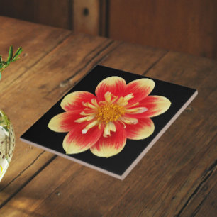 Carreau Collarette orange et jaune Dahlia Floral