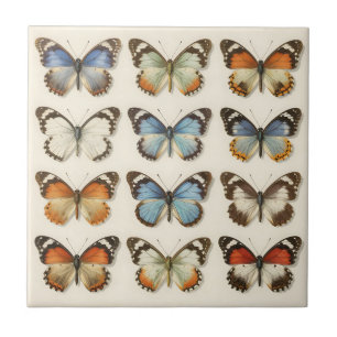 Carreau Collection de spécimens de papillons vintage