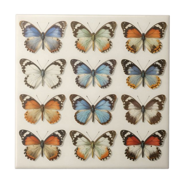 Carreau Collection de spécimens de papillons vintage (Devant)