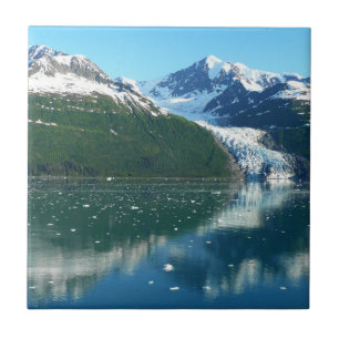 Carreau College Fjord I Photographie de l'Alaska Belle