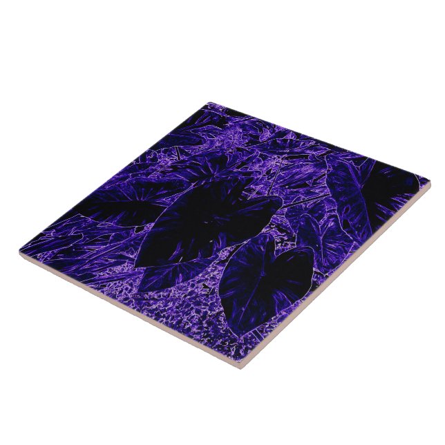 Carreau Colocasia Taro (Côté)