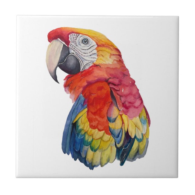 Carreau Colorful Parrot Watercolor Illustration (Devant)