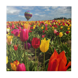 Carreau Colorful Tulip Field