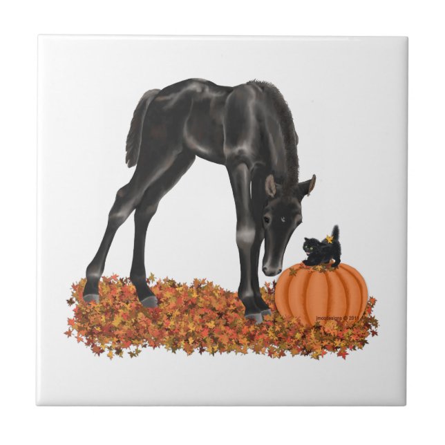 Carreau Colt Kitty de cheval de Halloween (Devant)