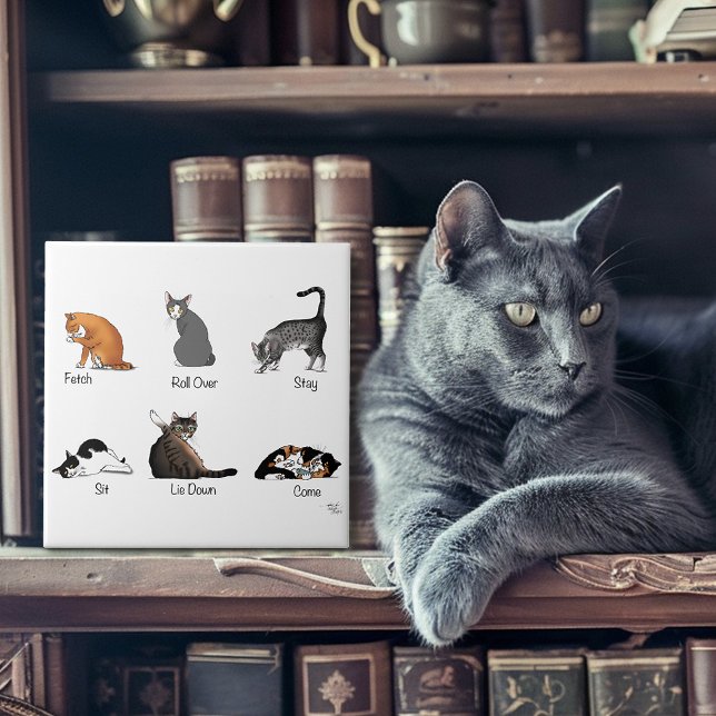 Carreau Commandes Cat (Créateur téléchargé)