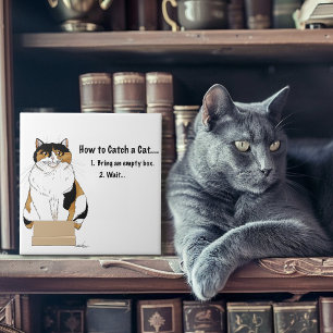 Carreau Comment attraper un chat