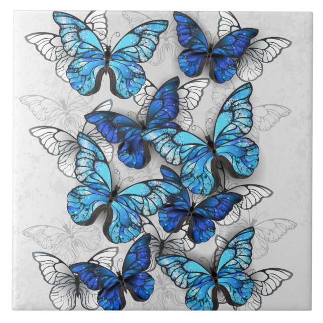 Carreau Composition de papillons blancs et bleus (Devant)