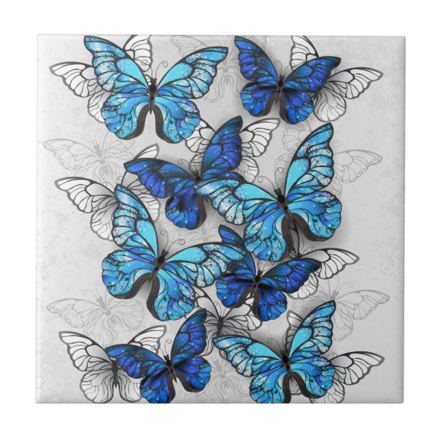 Carreau Composition de papillons blancs et bleus (Devant)